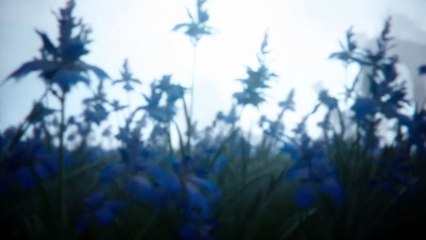 Lunafreya et Noctis [ FINAL FANTASY XV ]