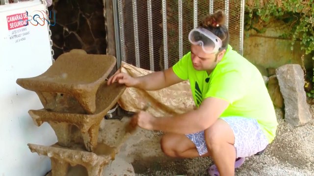 mqn-El arte precolombino puede estar en su casa… y de manera legal-100522