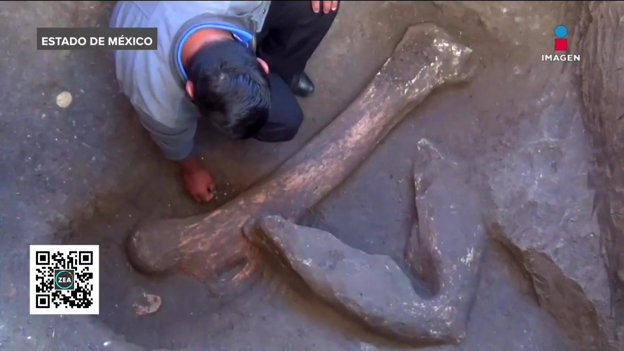 Mamut