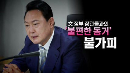 [영상] '신나게 일할' 파트너는 어디에? / YTN