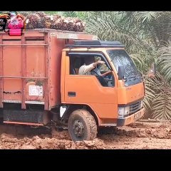 Most danger road in forest area survive local people