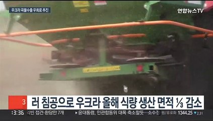 러 약탈하고 수출길 봉쇄되고…"우크라 곡물을 지켜라"