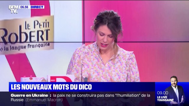 Wokisme, chiller, spicule... Ces nouveaux mots qui font leur entrée dans le dictionnaire