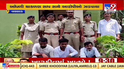 3 arrested for stealing exotic snake in Valsad _Gujarat _TV9GujaratiNews
