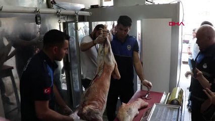 ŞANLIURFA'DA, KASAPTA 1 TON 250 KİLO BOZUK ET ELE GEÇTİ