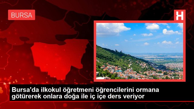 Bursa'da ilkokul öğretmeni öğrencilerini ormana götürerek onlara doğa ile iç içe ders veriyor