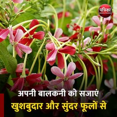 भोपाल (मप्र): पांच ऐसे फूल जो महका देंगे आपका घर