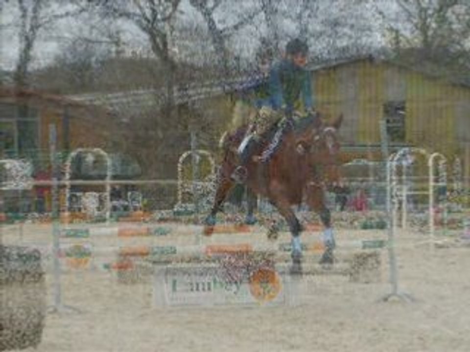 Concours aux Ecuries d'Octo !