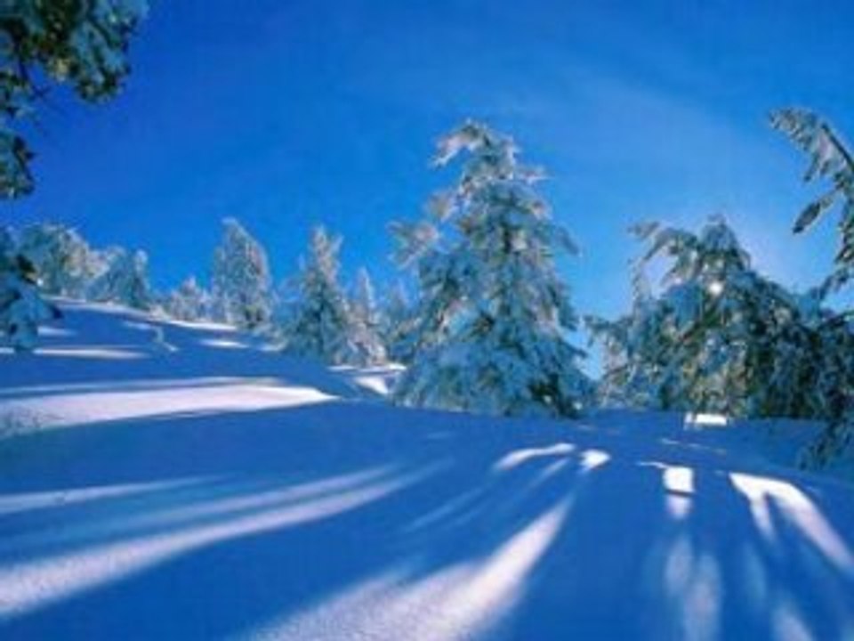 VIVALDI- Concerto RV 235 - Adagio (2e mouvt.)