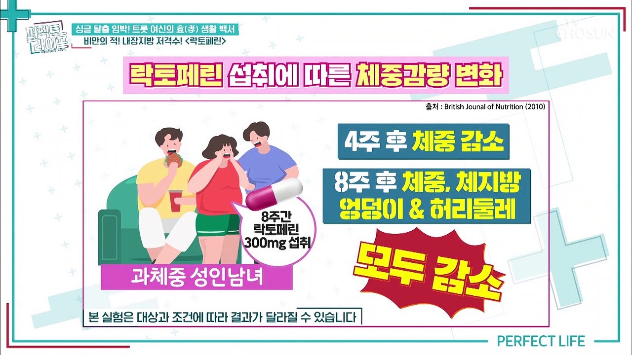 호르몬 & 효소를 조절해 다이어트를 도와주는 ‘락토페린’ TV CHOSUN 20220...