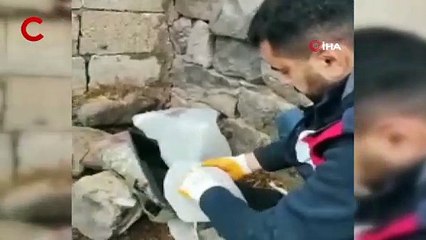 Şanlıurfa’da silah kaçakçılığı operasyonuna 2 tutuklama