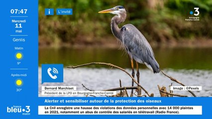 Bernard Marchiset, président de la LPO Bourgogne-Franche-Comté