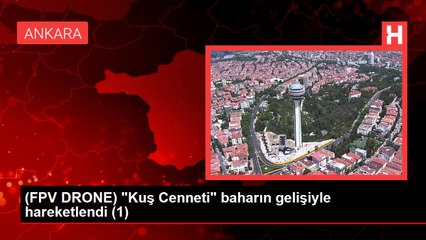 (FPV DRONE) "Kuş Cenneti" baharın gelişiyle hareketlendi (1)