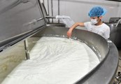 Tüik Açıkladı: Geçen Yıla Göre İçme Sütü Üretimi Mart Ayında Yüzde 14 Azaldı