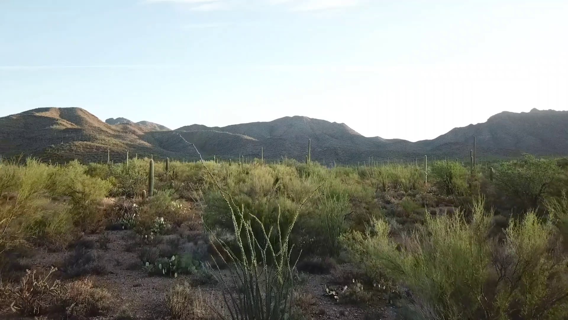 Relaxing Music, Healing Music, Peaceful Music