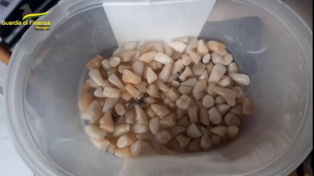 Fiamme Gialle di Foligno scoprono odontoiatra abusivo