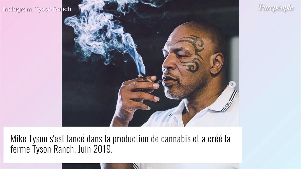 Mike Tyson accusé d'avoir frappé le passager d'un avion : le boxeur enfin fixé sur son sort