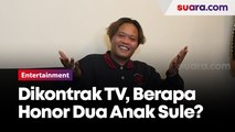 Sule Blak-blakan soal Honor Anak Tampil di TV