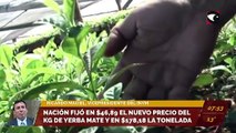 Nación fijó en $46,89 el nuevo precio del kg de yerba mate y de $178,18 la tonelada