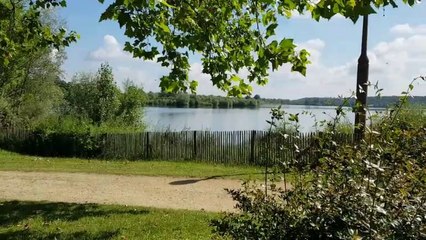 La France 2021. Escale camping car Park du lac de St Cyr (86130)