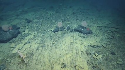 Bilim insanları şaşkın: Atlantis’in yolu ortaya çıktı