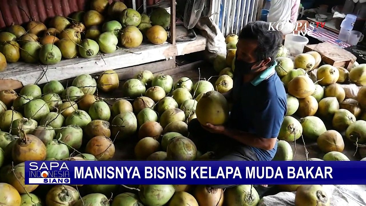 Bisnis Air Kelapa Muda Bakar Raup Untung Manis!