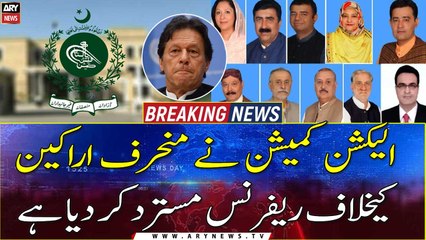 ECP rejects reference against PTI defecting MNAs