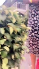 அரை டவுசர் அணிந்து கொண்டு ஆண் நண்பருடன் அப்படியொரு ஆட்டம் போட்ட ஷாலு ஷம்மு -வீடியோ!