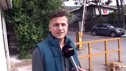 İstanbul'da yine taksici dehşeti! Ezip gitti, arkasına bile bakmadı