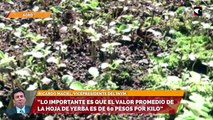 “Lo importante es que el valor promedio de la hoja de yerba es de 60 pesos por kilo”