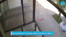 No se detiene el rompe vidrios de Barrio Norte