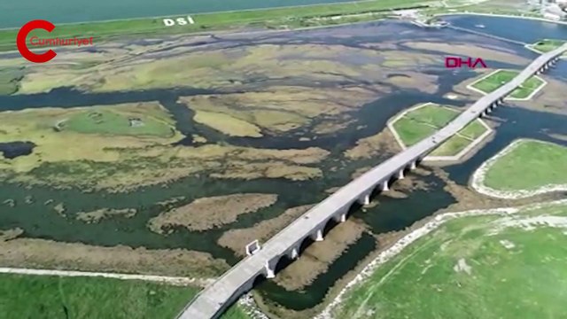 Büyükçekmece Gölü'nde dikkat çeken yosun artışı: '40 senedir Büyükçekmeceliyim, böyle bir şey görmedim'