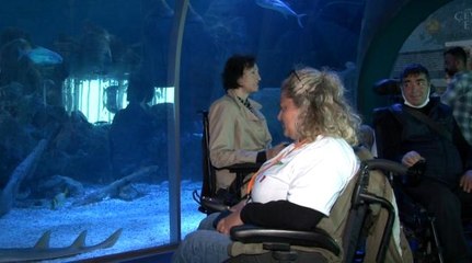 Avcılar Belediyesi'nden 600 engelli vatandaşa akvaryum gezisi
