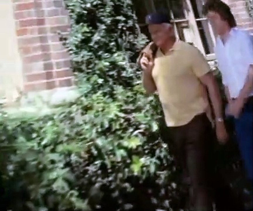 Hardcastle and McCormick S02 E09