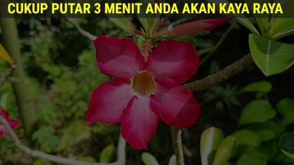 Baca Menjelang Siang, Tunggu 5 Menit, Tak Butuh Waktu Lama Rezeki Datang Berlimpah