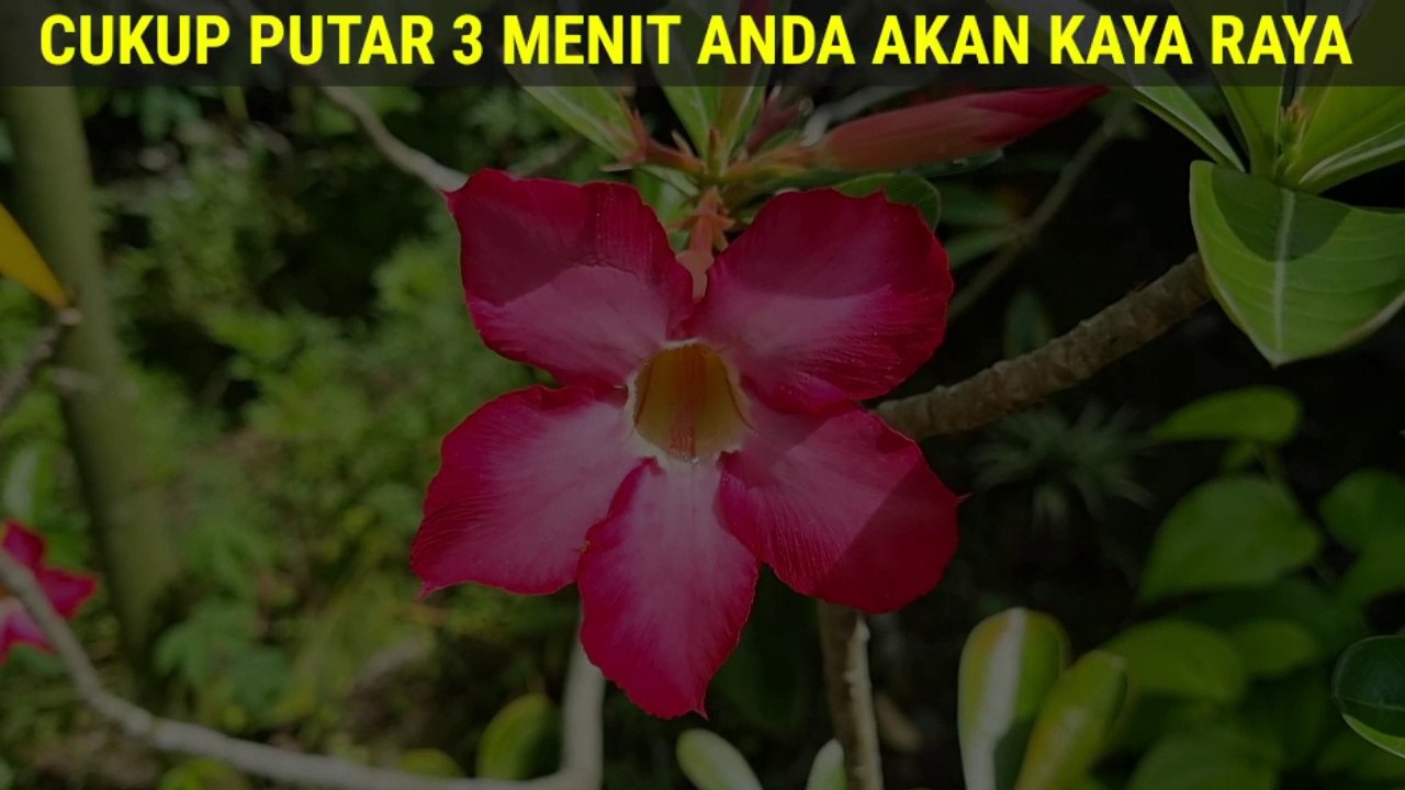 Baca Menjelang Siang, Tunggu 5 Menit, Tak Butuh Waktu Lama Rezeki Datang Berlimpah