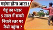 India Bans Wheat Exports: India Wheat stock में आई कमी । महंगा हो सकता है Flour ! | वनइंडिया हिंदी