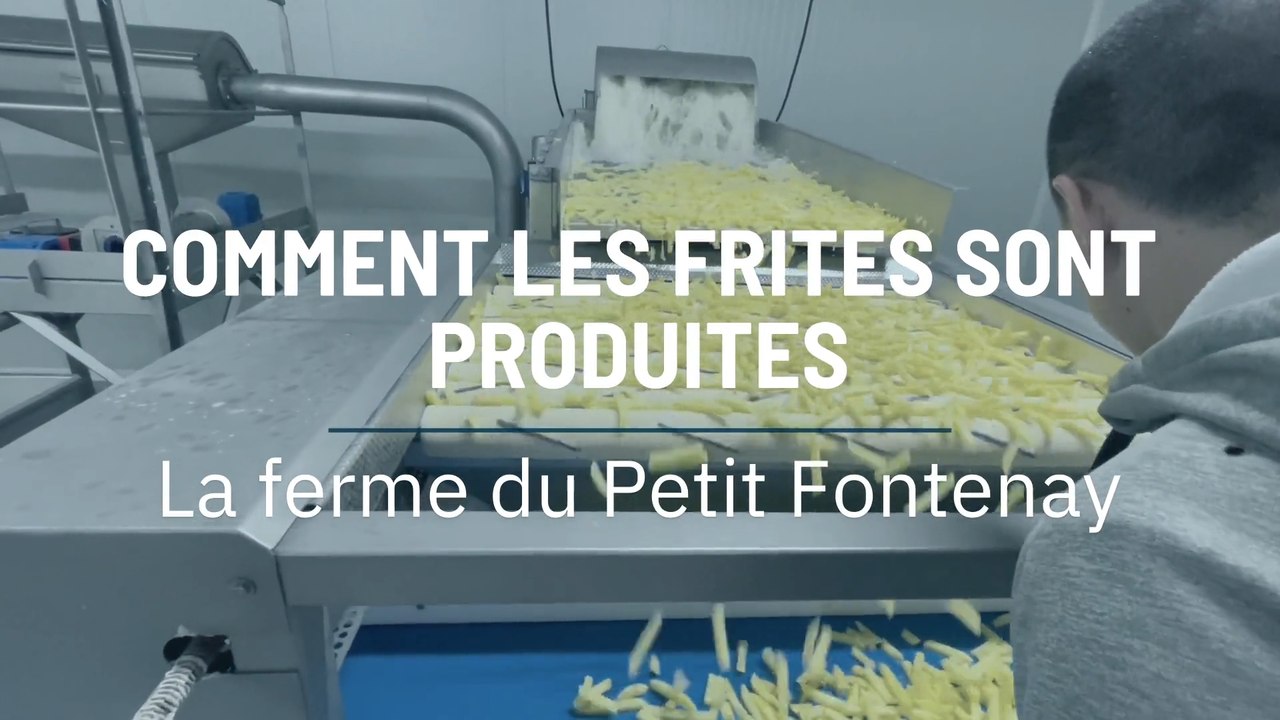 Comment les frites sont produites