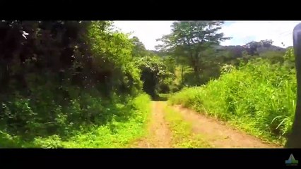 Cairless Malayalam Short Film – A Must-Watch Emotional Journey 🎬