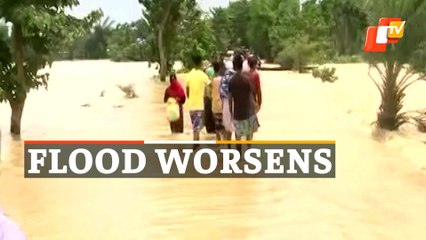 Assam Flood Situation Worsens - Images From Hojai