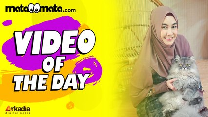 Video of The Day: Anisa Rahma Hamil, UAS Dideportasi dari Singapura