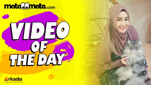 Video of The Day: Anisa Rahma Hamil, UAS Dideportasi dari Singapura