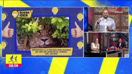 Pide ayuda porque "vio un león" y resulta ser una bolsa de plástico