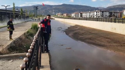 Son dakika haberi... Dereye düşen köpeği itfaiye ekipleri kurtardı