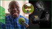 Cheikh Tidiane Gomis : « Si Sadio Mané perd le Ballon d'or 2022, c’est à cause de … »