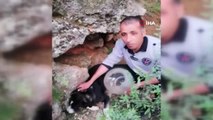 Kafası bidona sıkışan köpek, günler sonra fark edilerek kurtarıldı