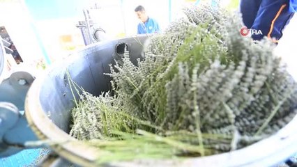 Büyükşehir ile ürünlerin değeri artıyor, üretici kazanıyor