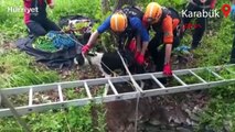 Karabük'te kuyuya düşen köpekler AFAD ekipleri tarafından kurtarıldı