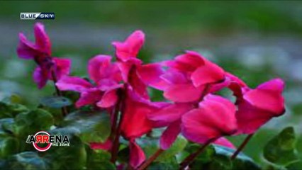 Στην Αρένα της  Ζωής  11/05/22 | Σταύρος  Αβράμογλου