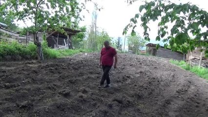 Son dakika haberi! 6 ay önce ayı saldırısına uğrayan kişi kene nedeniyle de hastaneye düştü